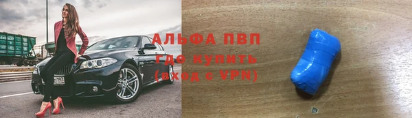 мет Алексин