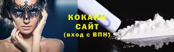 мет Алексин