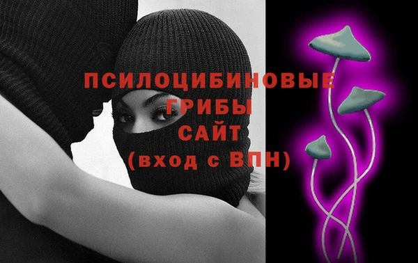 мет Алексин