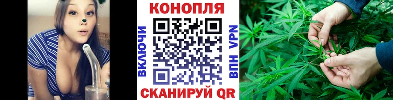 Шишки марихуана Amnesia KRAKEN Апшеронск как найти закладки